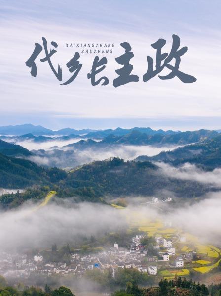 代乡长主政(大结局)