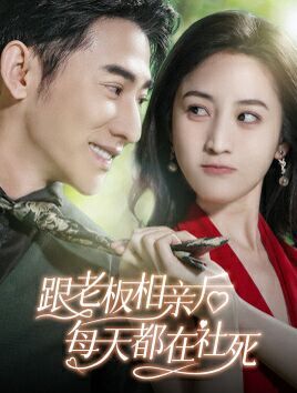 跟老板相亲后每天都在社死 第41-60集