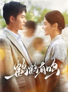 鹤鹤有鸣 第1-20集