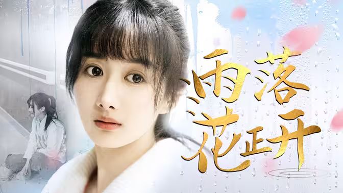 雨落花正开 第31-62集完结(大结局)