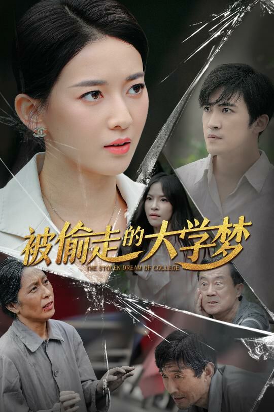 被偷走的大学梦 第41-60集