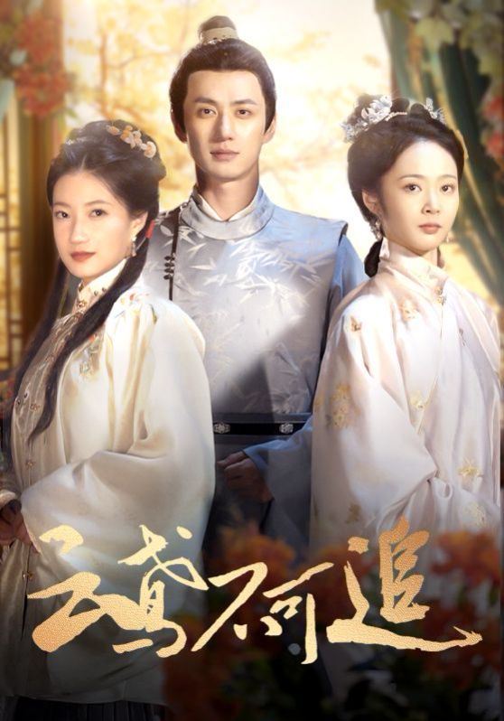 云鸢不可追 第21-42集完结(大结局)