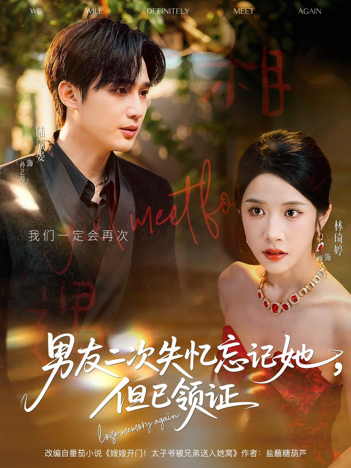 男友二次失忆忘记她但已领证(全集)