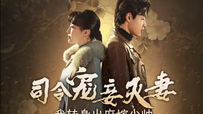 司令宠妾灭妻，我转身出府嫁少帅 第31-76集完结(大结局)