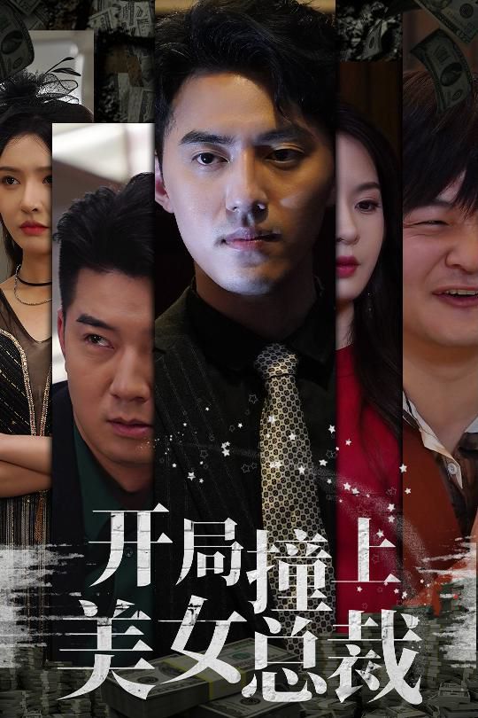 开局撞上美女总裁 第21-40集