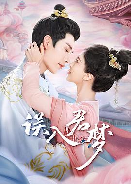 误入君梦 第03集