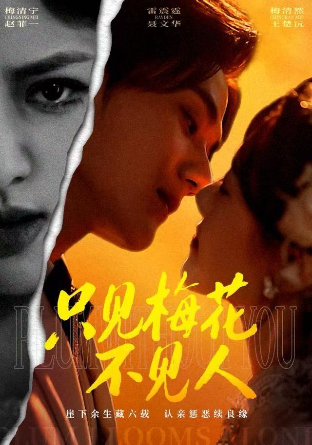 只见梅花不见人(全集)