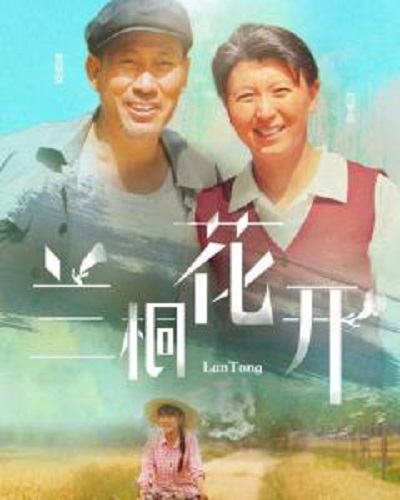 兰桐花开 第01集